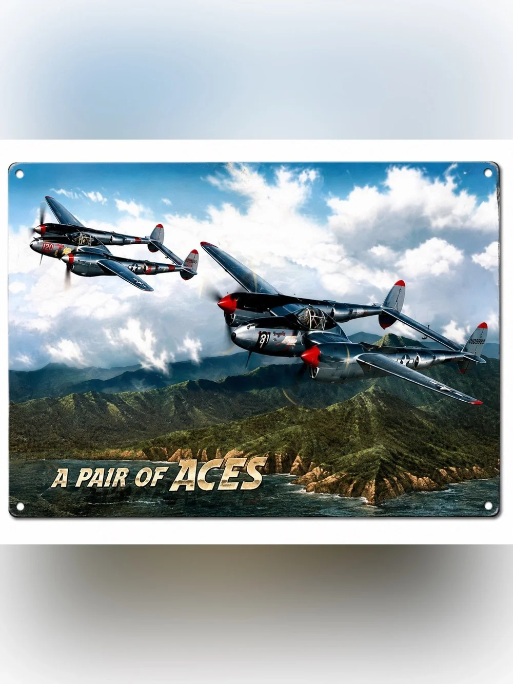 NEW Heavy Duty Steel A Pair Of Aces Metal Sign
